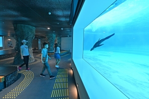 Бассейны с морской водой: новый павильон «Ластоногие» в Московском зоопарке