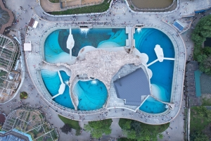 Площадь павильона «Ластоногие» в Московском зоопарке увеличилась в три раза