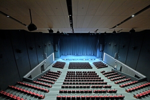 В Москве ввели более 48 тыс. кв. м недвижимости для культурного досуга