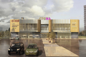 Инвестор построит ТЦ «Среда» в районе Бирюлёво Восточное