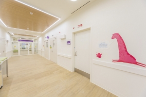 Началась чистовая отделка помещений детской поликлиники в районе Крюково