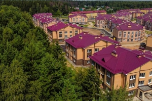 15 малоэтажных домов введут в Новой Москве до конца года