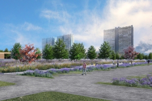 Городской сад с амфитеатром появится около ледового дворца в Ясенево