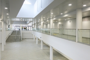 Восемь спортивных объектов введено в Москве с начала года