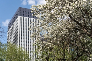 Частную школу на 400 мест открыли в составе ЖК «Вестердам»