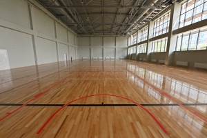 В Москве построят 10 спортивных комплексов в рамках КРТ