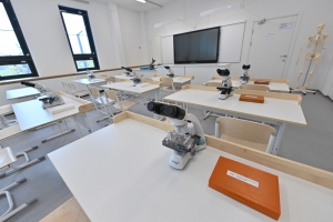 Детсад, два учебных корпуса и здание Бауманки поставили на кадастровый учет