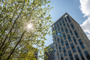 Более 1800 рабочих мест создадут в трех объектах Sminex-Интеко