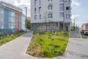 Началось расселение шести домов по реновации в районе Басманный