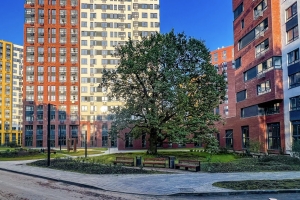 В жилом комплексе «Прокшино» ввели дом возле столетнего дуба