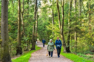 Каменный лабиринт и скейт-площадки обустроили в парках Новой Москвы