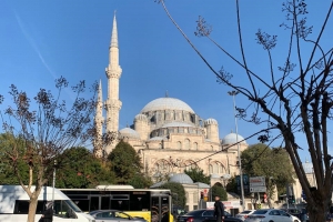 У Турции и России есть похожие проекты по сохранению культурно-исторического наследия – эксперт