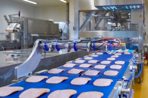 Предприятие по выпуску готовых блюд разместят в Краснопахорском районе