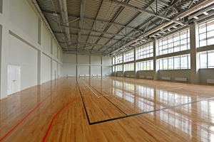 Инвесторы взяли в аренду два участка для строительства спорткомплексов в ВАО