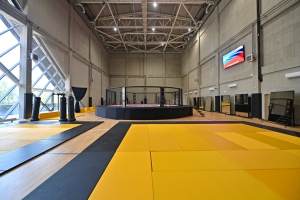 Школу и Дворец спорта построили в Новой Москве в рамках МаИП