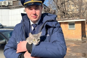 Спасенному из незаконной постройки котенку найден дом