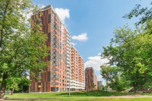 Около 3 тыс. деревьев и кустарников высадили у новых ЖК по реновации в Бабушкинском районе