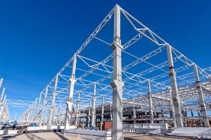 Производство протезных комплектующих создадут в Щербинке в рамках МаИП