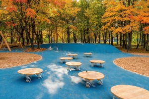 Общественные пространства создадут в районах Дорогомилово и Филёвский Парк по проекту КРТ