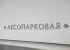 Строительство парка развлечений у станции метро «Лесопарковая» может начаться в 2016 - 2017 годах