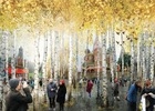 Парк «Зарядье» откроют в канун 870-летия Москвы - Собянин