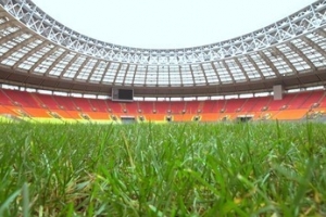 Реконструкция стадиона «Лужники», демонтаж кресел