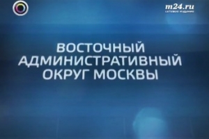 "Большая Москва": Восточный административный округ