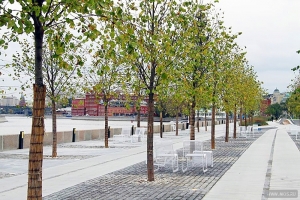 Экологи Стройкомплекса проверили стройплощадки Москвы