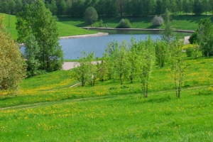 80 зеленых территорий обустроят в Москве за этот год