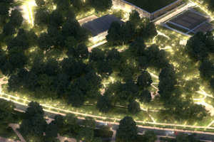 Как строится московский стадион «Динамо» - в фотоленте от stroi.mos.ru