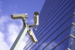 Для обеспечения безопасности в «Лужниках» создадут семь зон досмотра