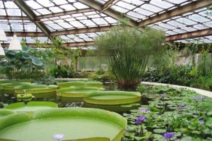 Китайский деловой центр у метро «Ботанический сад» построят до середины 2018 года