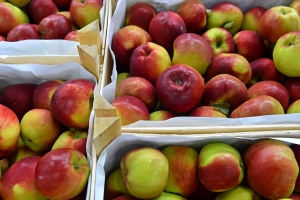 Торговый центр «Свежий рынок Московский» построили в ТиНАО