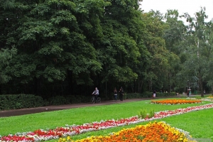 Около 50 новых парков появится в Москве в 2016 году