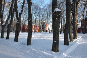 Искусственный остров с пешеходными мостами появится в усадьбе Михалково