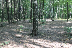 Осмотр хода благоустройства нового городского парка в Южном Бутове