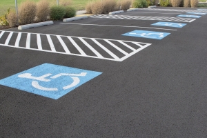 Парковка для инвалидов появится в сквере у Московского зоопарка