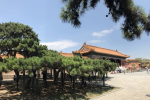 Первый китайский парк в России появится у метро «Ботанический сад»