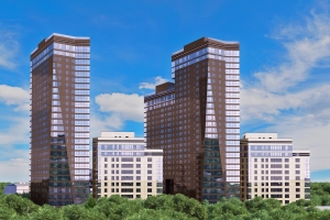 Дом на Дмитровском шоссе попал в Книгу рекордов России