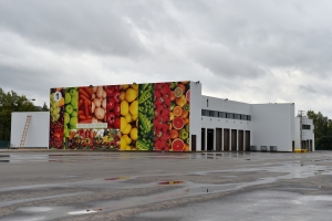 Офисы и логистика лидируют в ТиНАО по созданию рабочих мест