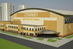 Шесть объектов спорта поставили на кадастровый учет в январе