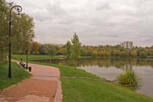 Реконструкция Оранжерейных прудов в Царицыно начнется в 2019 году