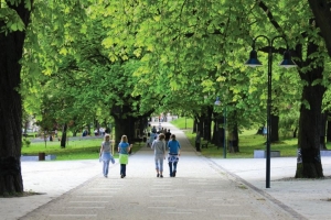 Отменено строительство двух торговых комплексов на юге Москвы