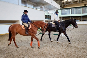 Конюшню на Таганке отреставрировали по программе «1 рубль за кв. метр»