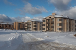 Деятельность застройщика ЖК «Борисоглебское» в ТиНАО проверят