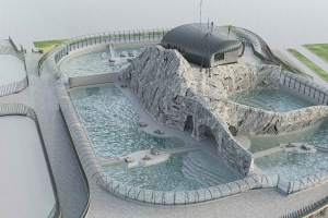 В Московском зоопарке построят павильон для морских котиков и тюленей