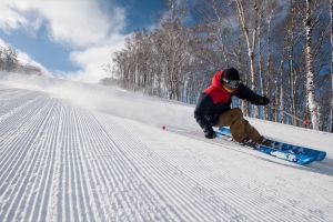 В ТиНАО запланировано строительство крупных спортивных комплексов — Владимир Жидкин