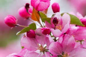 Женщины выбирают недвижимость, мужчины – оплачивают