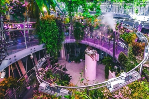 Впервые брак зарегистрируют в ледяной пещере и флорариуме «Зарядья»