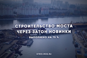 Строительство моста через затон Новинки выполнено на 75 %